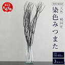 17位! 口コミ数「1件」評価「5」染色 TSUKIGI みつまた 3本 1セット 高さ50cm〜80cm インテリア オブジェ 枝 黒 ブラック モダン おしゃれ ドライフラ･･･ 