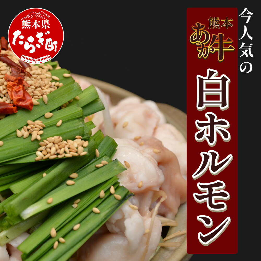 【ふるさと納税】【定期便3回】熊本あか牛 白ホルモン 計1.5Kg (250g×2)×3回 冷凍真空パック【 熊本 熊本県産 あか牛 冷凍 真空 もつ鍋 ホルモン 焼き肉 】 041-0139