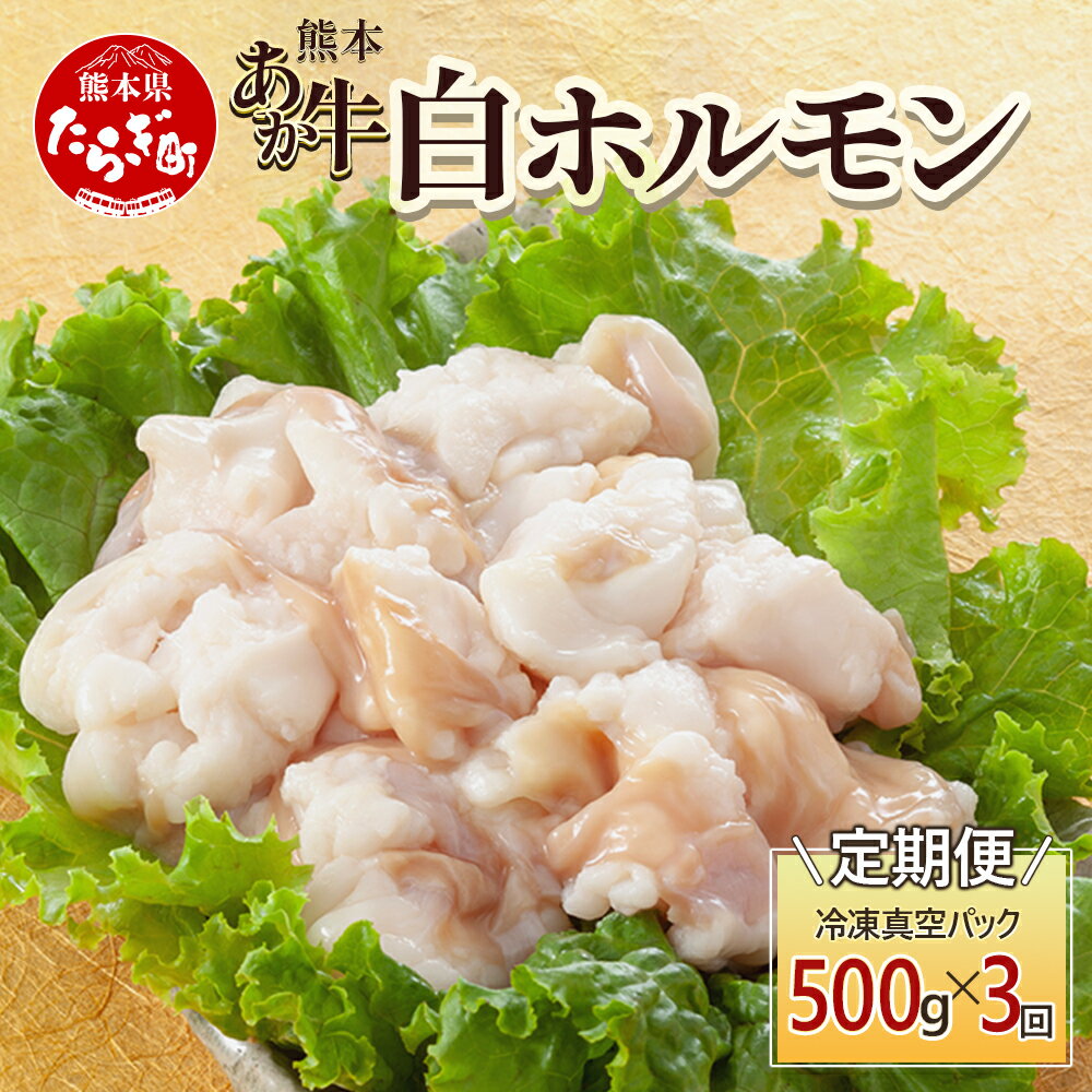 [定期便3回]熊本あか牛 白ホルモン 計1.5Kg (250g×2)×3回 冷凍真空パック[ 熊本 熊本県産 あか牛 冷凍 真空 もつ鍋 ホルモン 焼き肉 ]