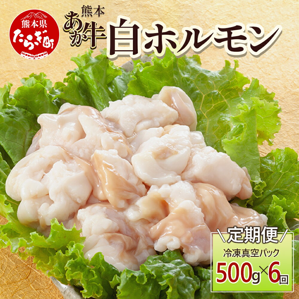 【定期便6回】熊本あか牛 白ホルモン 計3Kg (250g×2)×6回 冷凍真空パック【 熊本 熊本県産 あか牛 冷凍 真空 もつ鍋 ホルモン 焼き肉 】 041-0140