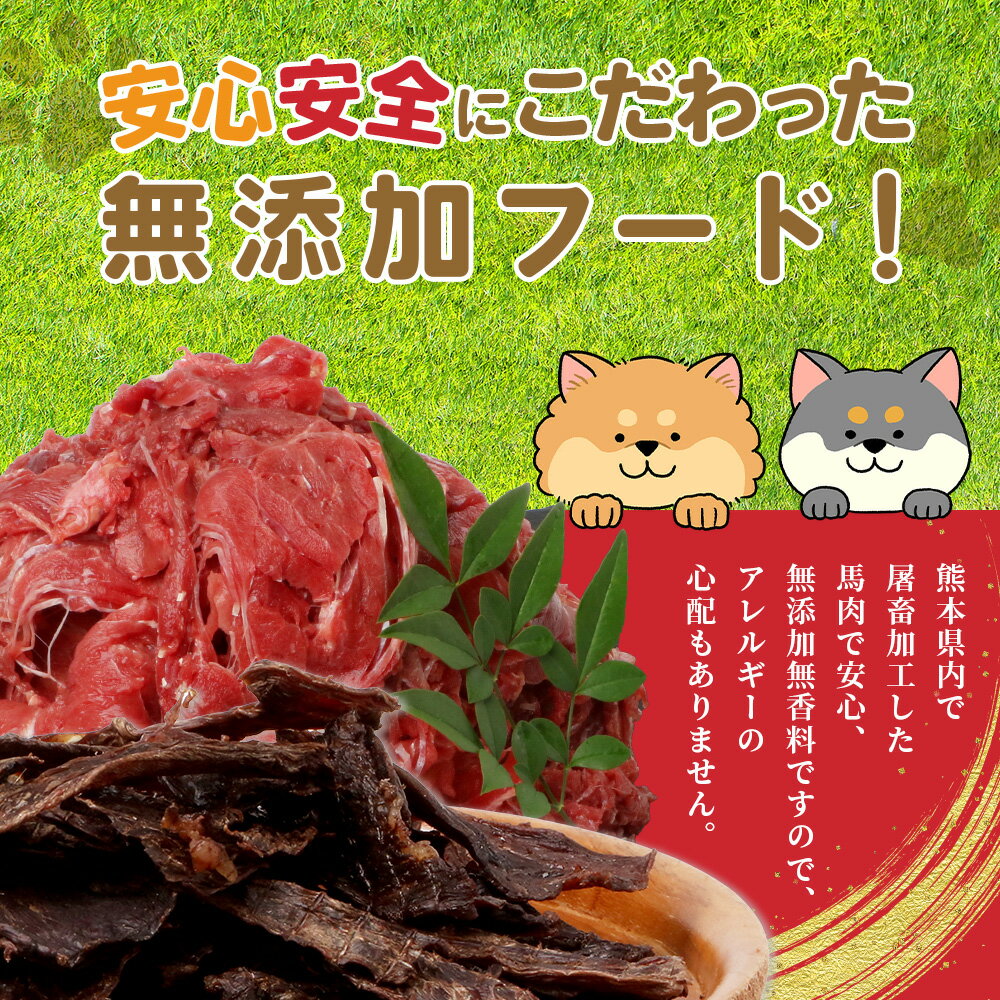 【ふるさと納税】熊本県内加工 ペットフード セット【 馬肉 切り落とし 1kg & 馬刺し ジャーキー 100g(50g×2)】 ドッグ フード 定期便 無添加 無香料 ヘルシー 高栄養 お肉専門店 馬肉 冷凍 国内加工 わんこ ご飯 犬 フード おやつ 熊本県 送料無料