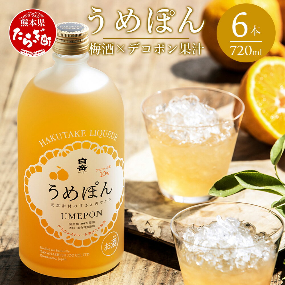 白岳うめぽん 梅酒 6本セット 720ml×6本 10度 国産梅 梅酒 デコポン お酒 酒 ゆず うめ 高橋酒造 多良木町 熊本県産 九州産 国産 熊本県 多良木町 ギフト 贈答 贈り物 送料無料