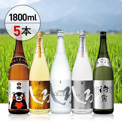 【ふるさと納税】白岳 厳選 一升瓶 5本 セット 5種類 1800ml×5本 白岳くまモンボトル 白岳しろ 金しろ 銀しろ 待宵 飲み比べ 米焼酎 焼酎 お酒 酒 しろ 白岳 はくたけ くまモン 熊本県 多良木町 熊本県産 九州産 国産　香り 贅沢 送料無料 f435058-taragi-10000995 熊本県多良木町 サンプル画像2