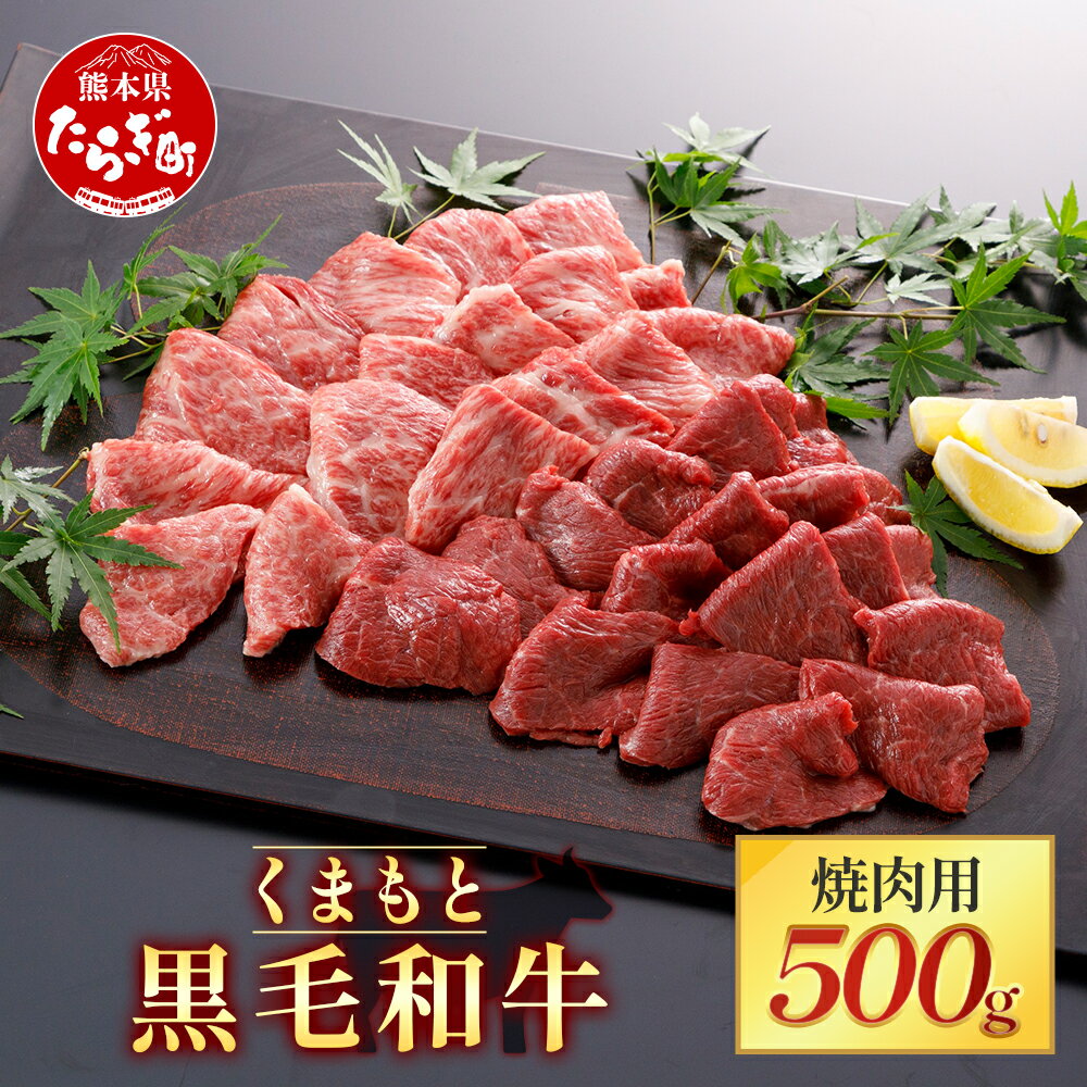 51位! 口コミ数「0件」評価「0」【くまもと黒毛和牛】焼肉用 500g ブランド牛 牛肉 黒毛和牛 焼肉 焼き肉スライス やきにく 多良木町 国産 和牛 焼き肉 スライス バ･･･ 