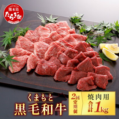 【定期便2回】くまもと黒毛和牛 焼肉用 500g ×2回配送 ブランド牛 合計1kg 牛肉 黒毛和牛 焼肉 焼き肉スライス やきにく 多良木町 国産 和牛 焼き肉 スライス バーベキュー グルメ 肥後 国産 九州 熊本県産 冷凍配送 熊本県 多良木町 定期便 送料無料