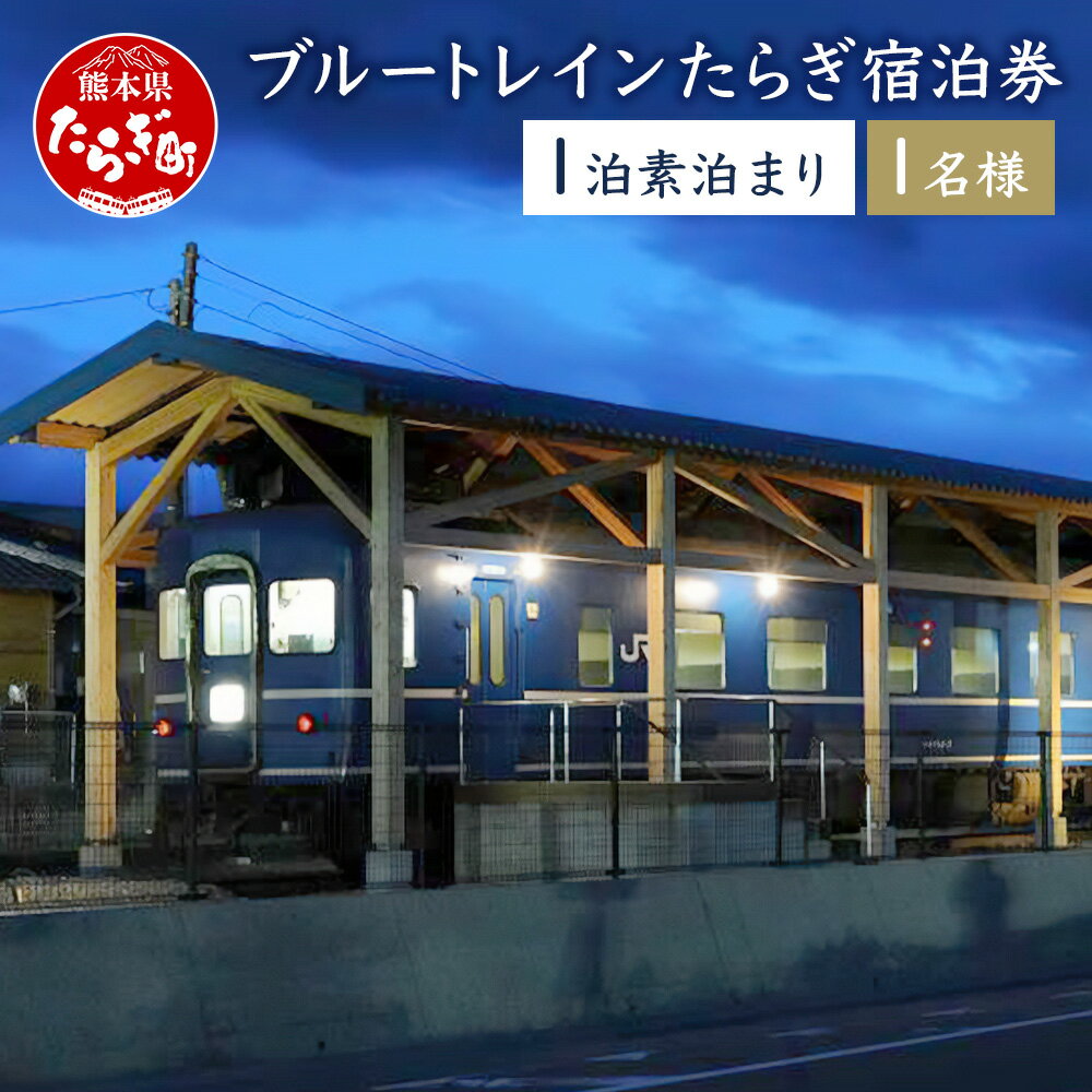 ブルートレインたらぎ 宿泊券 1名様 素泊まり えびすの湯入浴券付き チケット 九州 観光 旅行 宿 宿泊 寝台特急 寝台列車 はやぶさ 鉄道 列車 温泉 おんせん 熊本県 多良木町 送料無料