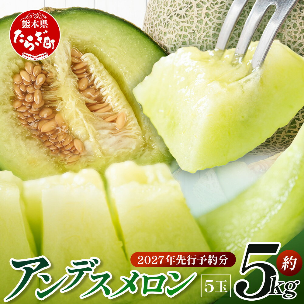 [2027年先行予約分]アンデスメロン 5玉 合計約5kgごほうび めろん 大玉 たっぷり 果汁 果物 フルーツ ギフト メロン [2027年4月下旬〜発送開始] 013-0561 送料無料