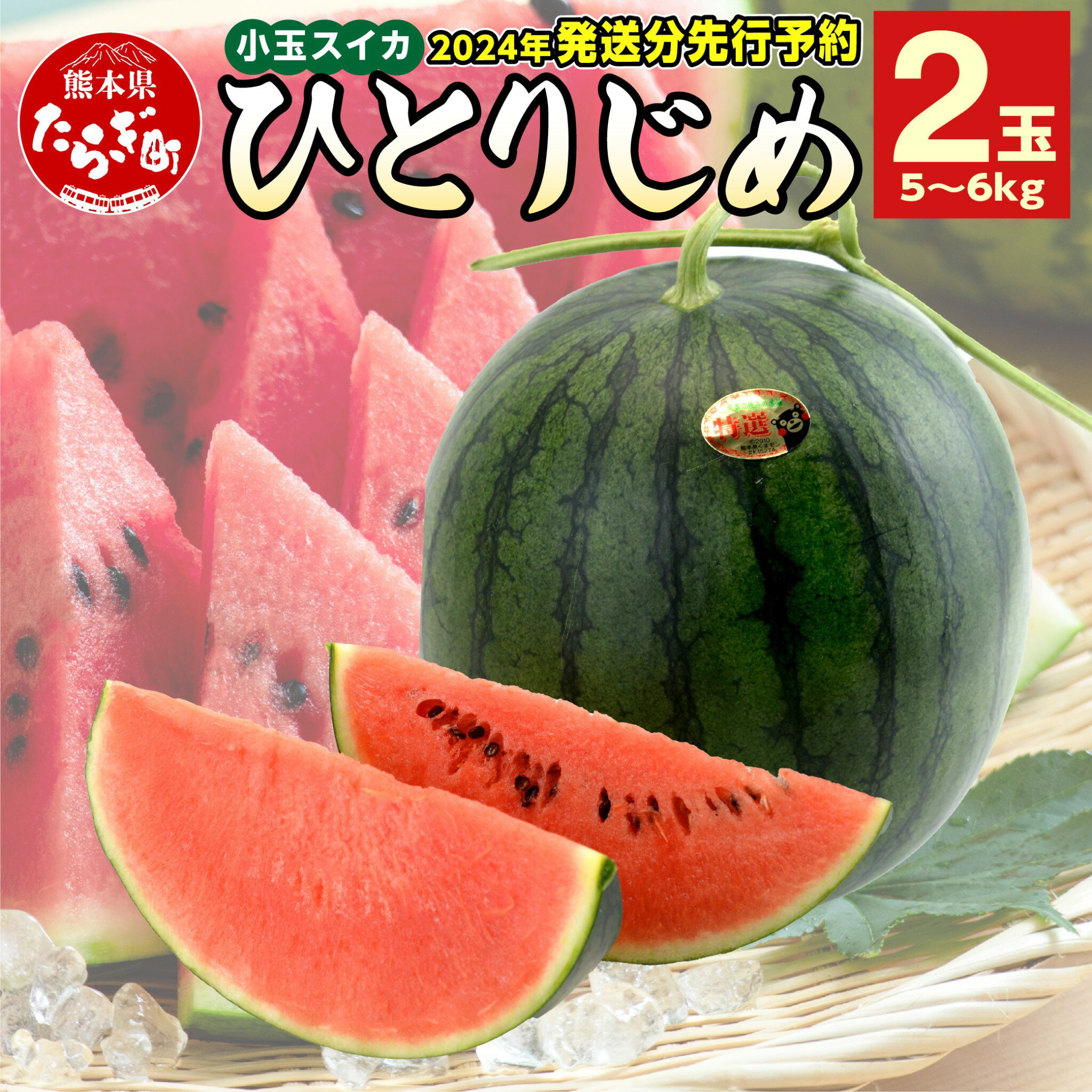 【ふるさと納税】《先行予約》 熊本県産 小玉 スイカ ひとりじめ 2玉 合計5〜6kg すいか 果物 フルーツ 甘い 熊本県 多良木町 ひとりじめ かわいい 送料無料 【2024年5月上旬より順次発送】