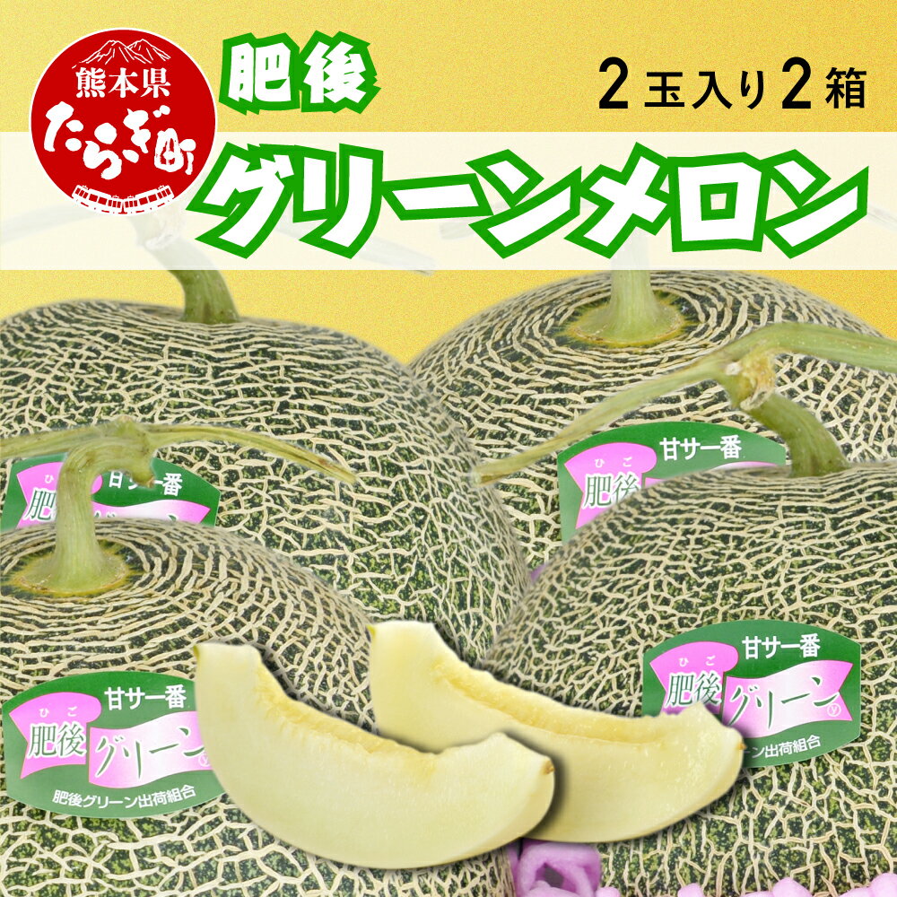 ≪先行予約≫ 肥後グリーン メロン 4玉(2玉入り×2箱) 1玉2kg以下 熊本県産 産地直送 甘い 果物 フルーツ メロン 肥後 熊本県 多良木町 送料無料 2024年5月下旬より順次発送]