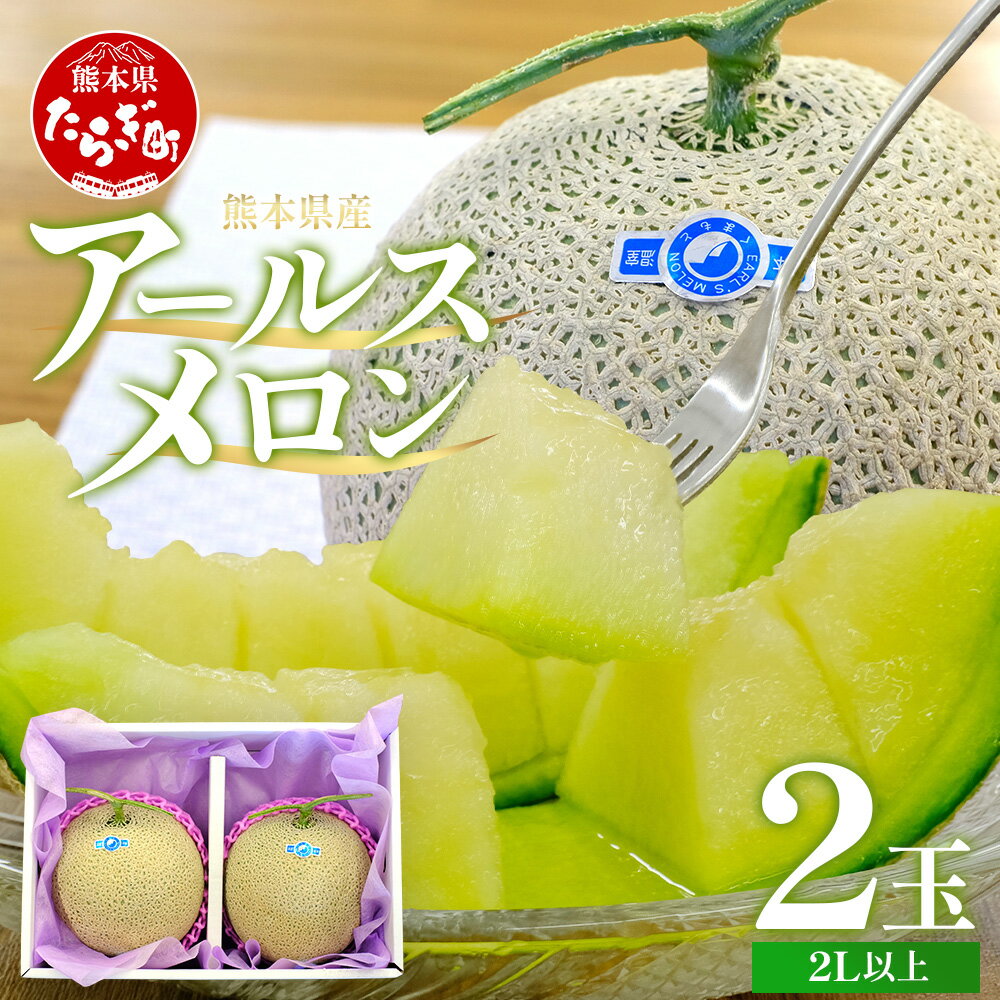 【11月中旬～発送】メロンの王様 アールスメロン 2玉 計約3.2Kg (2L以上×2玉) 先行受付 数量限定 2024年11月中旬より発送開始予定 産地直送 メロン めろん マスクメロン 青肉 果物 フルーツ 国産 先行予約 農家直送 熊本県 多良木町 送料無料