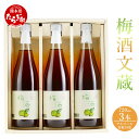 【ふるさと納税】梅酒文蔵 720ml×3本 アルコール濃度18％ 球磨焼酎 梅酒 米焼酎 本格焼酎 リキュール 九州産 国産 熊本県 多良木町 送料無料 まろやか さわやか 梅