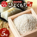 【ふるさと納税】【令和7年産 新米】多良木町産 ひよくもち米 5kg もち米 ヒヨクモチ 11月中旬~発送 新米 精米 熊本県 米どころ たらぎ 餅 米 赤飯 おこわ もちごめ お米 送料無料