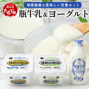【ふるさと納税】球磨酪農“おいしい定番”セット (瓶 牛乳 & ヨーグルト加糖・砂糖不使用) 牛乳 生乳 球磨の恵み ヨーグルト 詰め合わせ セット 乳酸菌 腸...