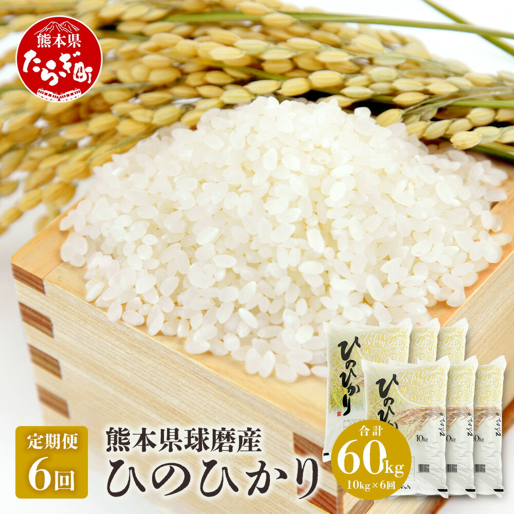 【ふるさと納税】【定期便年6回】令和5年産 球磨産 ひのひかり 合計60kg (10kg×年6回発送) 新米 精米 白米 米 お米 ヒノヒカリ ご飯 九州チャンピオン 国産 九州産 熊本県 球磨郡 多良木町 定期便 送料無料