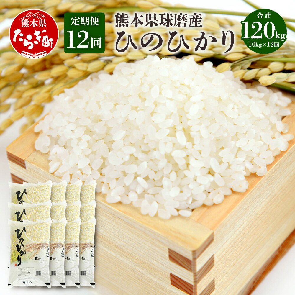 米 定期便 12ヶ月[定期便年12回]令和5年産 球磨産 ひのひかり 合計120kg (10kg×年12回発送) 新米 精米 白米 米 お米 ヒノヒカリ ご飯 九州チャンピオン 10万円以上 国産 九州産 熊本県 球磨郡 多良木町 定期便 送料無料