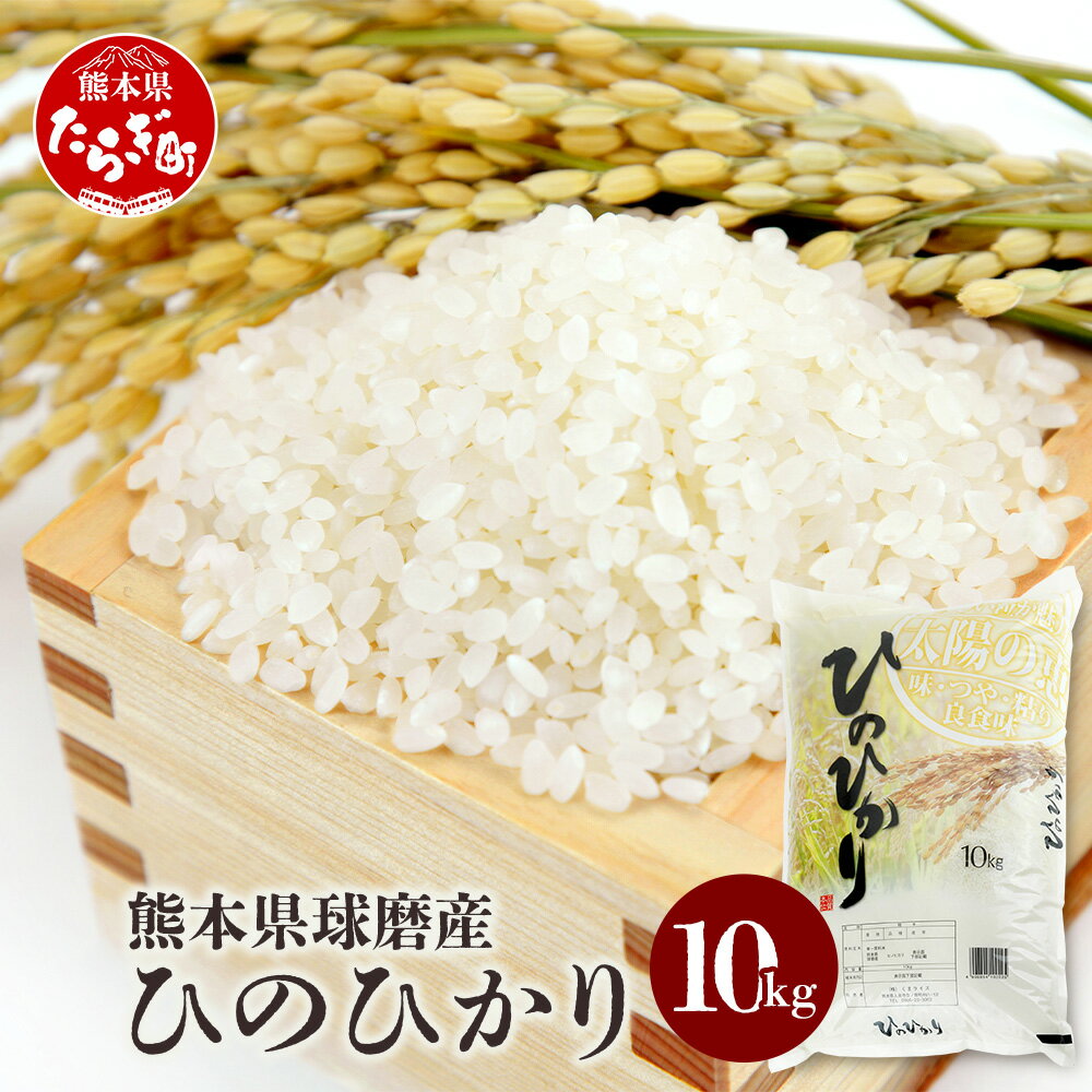 令和5年産 球磨産 ひのひかり 10kg ×1袋 新米 精米 白米 米 お米 ヒノヒカリ ご飯 九州チャンピオン 国産 九州産 熊本県 多良木町 送料無料