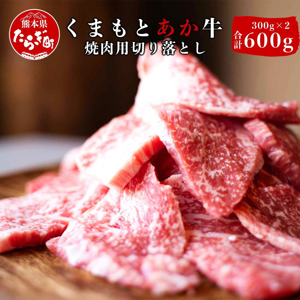 【ふるさと納税】熊本県産 GI認証取得 くまもとあか牛 焼肉