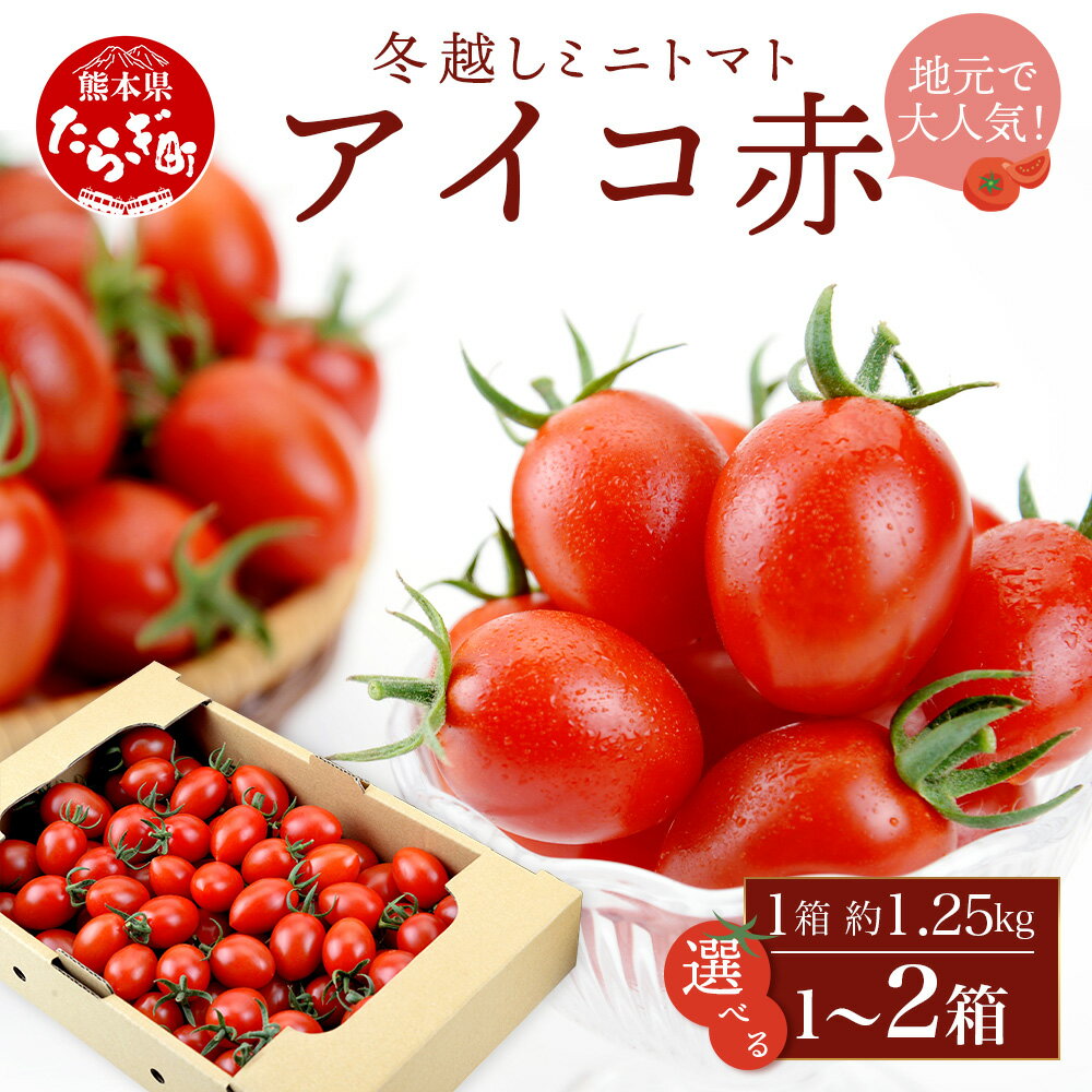 【ふるさと納税】本当に美味しい！産地直送 熊本県産 ミニトマト「アイコ (赤色)」約1.25～2.5kg 国産..