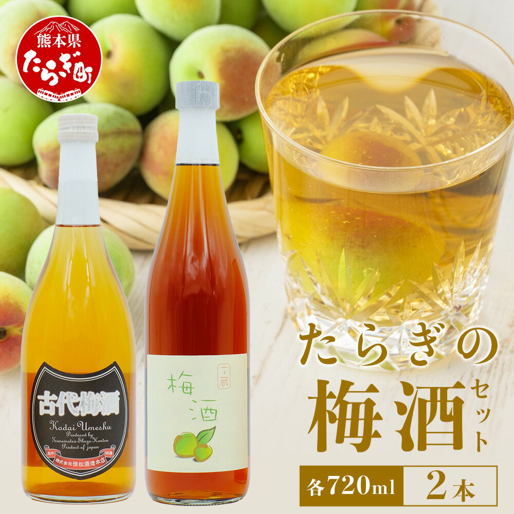 【ふるさと納税】たらぎの 梅酒 セット 720ml × 2本 ≪古代梅酒≫≪ 梅酒文蔵≫ 球磨焼酎 多良木町 米 焼酎 梅 うめ酒 お酒 球磨 贈り物 ギフト ...