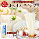 【ふるさと納税】那須の おいしい そうめん 2人前×1袋(165g)【 クリックポストでお届け】 涼 麺 冷やし ソーメン 夏 さっぱり 手軽 ランチ 便利 保...