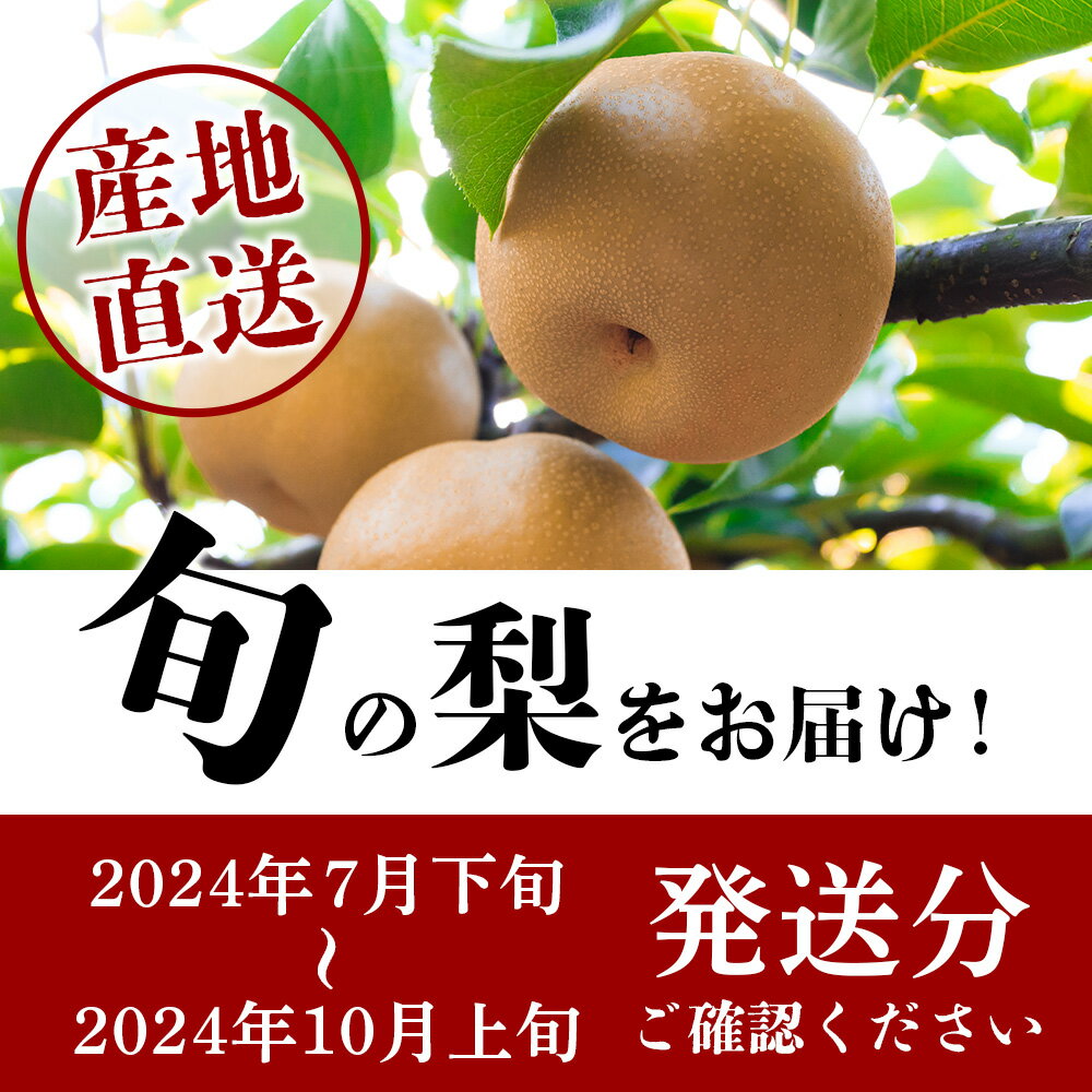 【ふるさと納税】先行予約【梨 3品種 定期便】東光寺 梨 2.5～3kg (5～7玉)×3回配送 完熟【2024年7月下旬～発送分】フルーツ 定期便 なし ナシ 果物 夏 旬 幸水 豊水 秋月 新高 甘い みずみずしい 果物 くだもの フルーツ 果実 国産 九州 熊本県 多良木町 送料無料