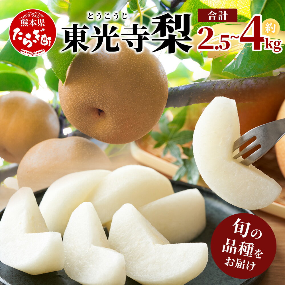 1位! 口コミ数「249件」評価「4.83」【2026年7月下旬～発送分】東光寺梨 約2.5kg～4kg なし 梨 幸水 豊水 秋月 新興 新高 甘い みずみずしい 果物 くだもの フルーツ 果実 予約 先行受付 国産 九州 熊本県 多良木町 ･･･ 