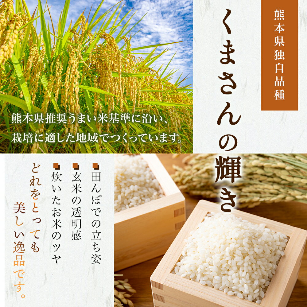 【新米 予約】つやつや！ぴかぴか！もちもち！長年の歳月をかけてデビューした美味しいお米です。10月中旬～発送となります。　【ふるさと納税】令和7年産 新米 【先行予約】多良木町産 『くまさんの輝き』 10kg (5kg×2袋) 10月中旬～発送開始 米 お米 白米 精米 熊本県産 多良木町 艶 粘り 甘み うま味 もちもち 熊本のお米 10キロ 送料無料
