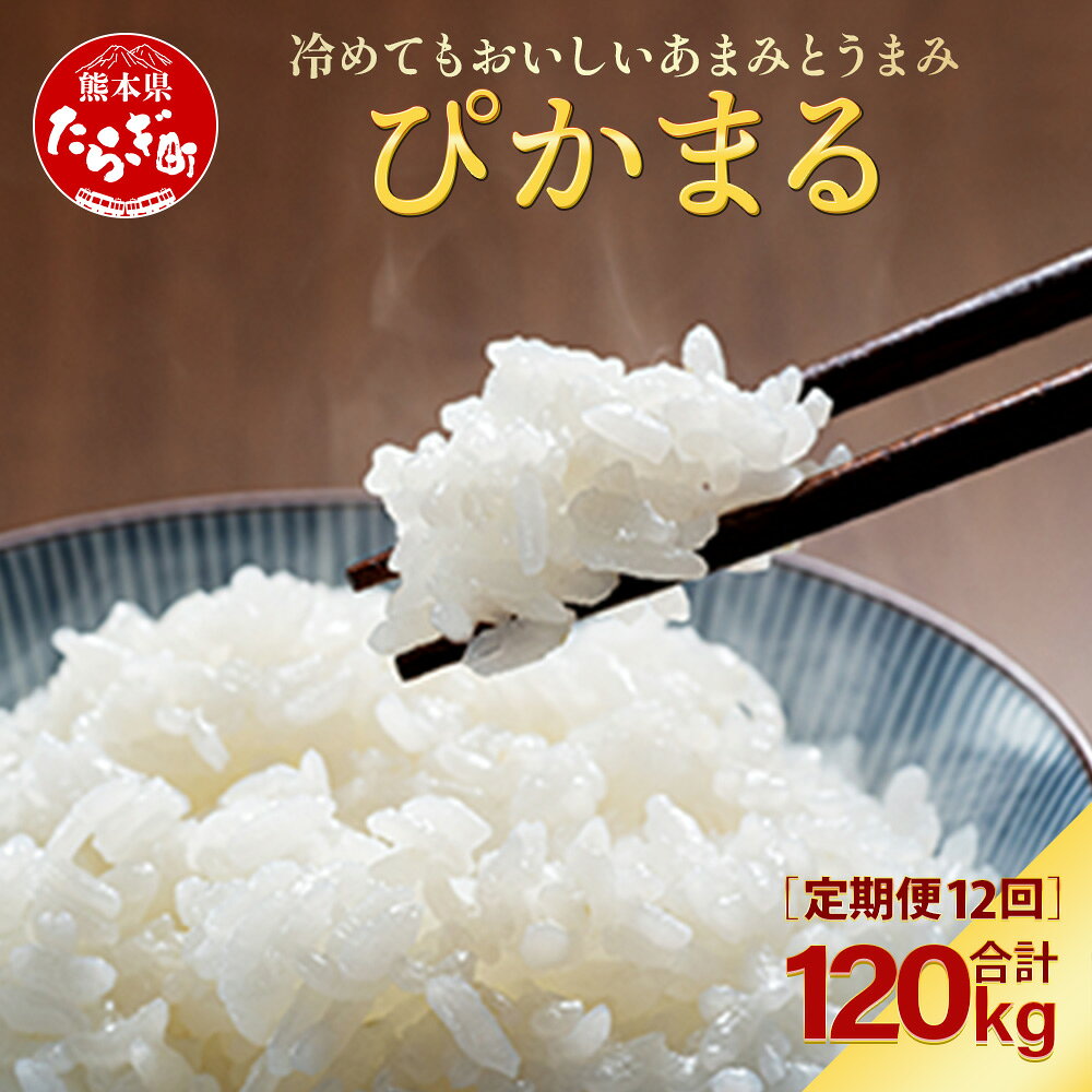 令和6年産 【 新米 定期便12回 】10kg ×12回 多良木町産『ぴかまる』 合計120kg 米 お米 白米 精米 熊本県産 多良木町 粘り 甘み うま味 やわらか 熊本のお米 10kg (5kg×2袋) 毎月届く 1年 新着 10万円以上 送料無料