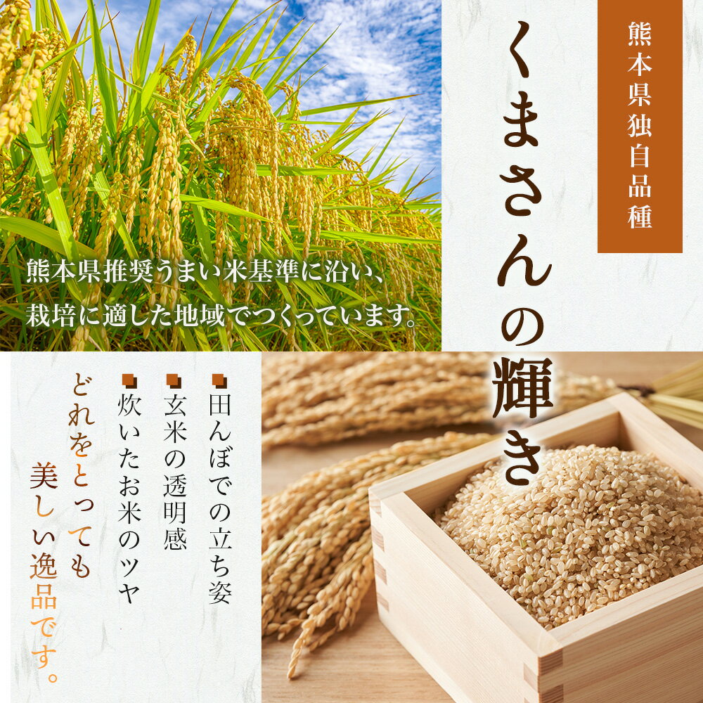 10月中旬～発送開始！つやつや！ぴかぴか！もちもち！長年の歳月をかけてデビューした美味しいお米を玄米のままお届けします！　【ふるさと納税】令和7年産 玄米 予約受付 多良木町産 『 くまさんの輝き 』 30kg 米 お米 熊本県産 多良木町 艶 粘り 甘み うま味 もちもち 熊本のお米 玄米 ミネラル 30キロ 044-0598 送料無料 新着