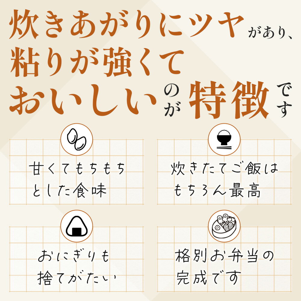 10月中旬～発送開始！つやつや！ぴかぴか！もちもち！長年の歳月をかけてデビューした美味しいお米を玄米のままお届けします！　【ふるさと納税】令和7年産 玄米 予約受付 多良木町産 『 くまさんの輝き 』 30kg 米 お米 熊本県産 多良木町 艶 粘り 甘み うま味 もちもち 熊本のお米 玄米 ミネラル 30キロ 044-0598 送料無料 新着