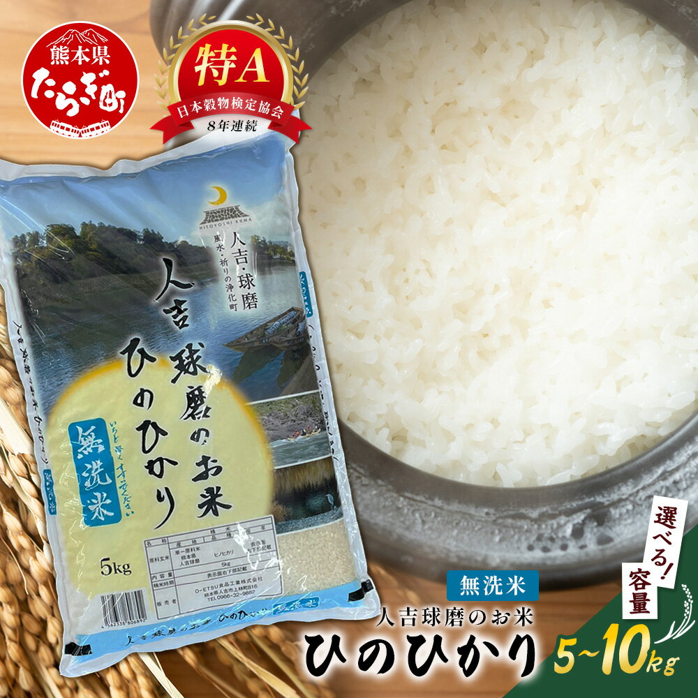人吉球磨のお米「ひのひかり」無洗米5kg〜10kg 精米 お米 ご飯 熊本県 ヒノヒカリ お米 精米 こめ コメ 国産 ブランド米 黄金晴 熊本県産5kg 10kg 送料無料