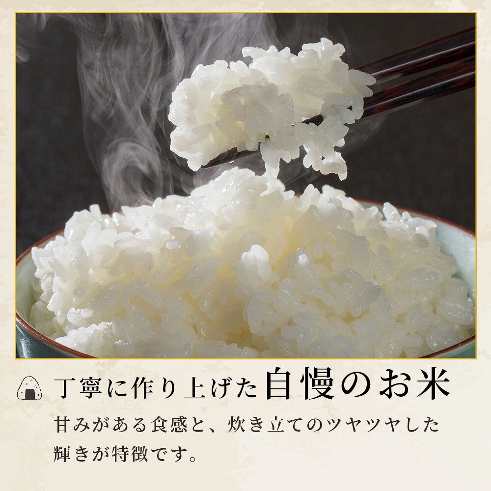 【ふるさと納税】人吉球磨のお米「ひのひかり」無洗米5kg〜10kg 精米 お米 ご飯 熊本県 ヒノヒカリ お米 精米 こめ コメ 国産 ブランド米 黄金晴 熊本県産5kg 10kg 送料無料