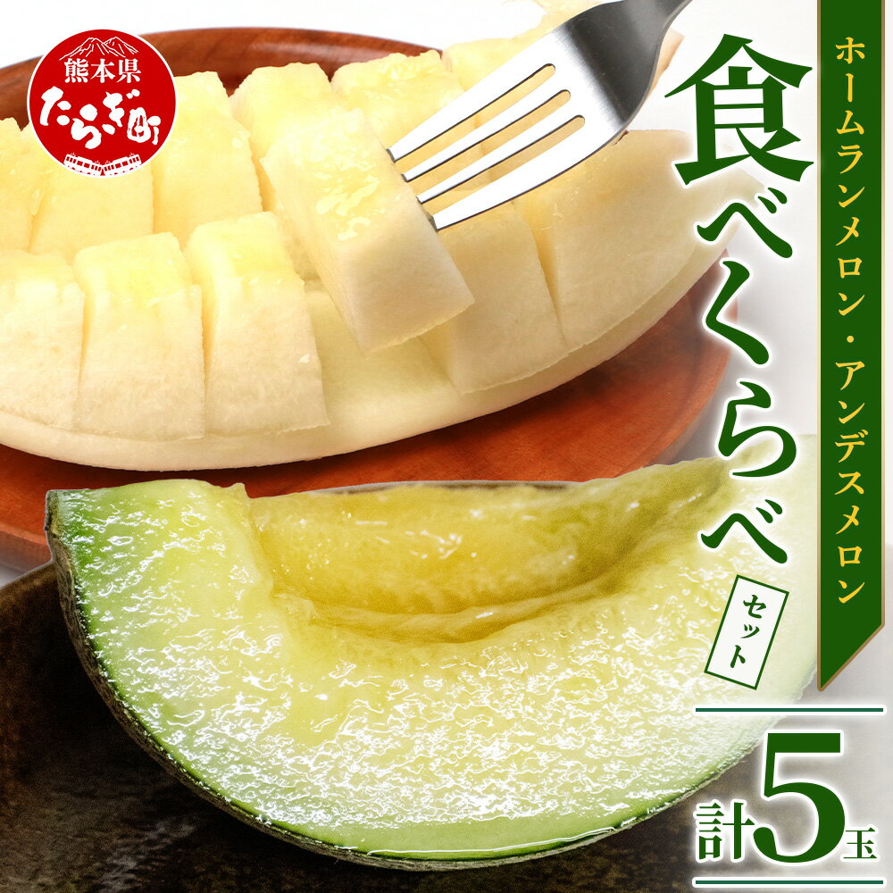 【ふるさと納税】【先行予約】 熊本県産 ホームランメロン アンデスメロン 食べ比べ 総合計 約5kg 計5玉 メロン 果物 フルーツ 甘い 糖度14度以上 さわやかな甘さ 送料無料 【2024年5月上旬発送開始】