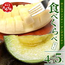 【ふるさと納税】\2026年発送分 先行予約/熊本県産 ホームランメロン アンデスメロン 食べ比べ 総合計 約5kg 計4~5玉【2026年5月上旬~順次発送】 メロン 果物 フルーツ 甘い 糖度14度以上 さわやかな甘さ 送料無料