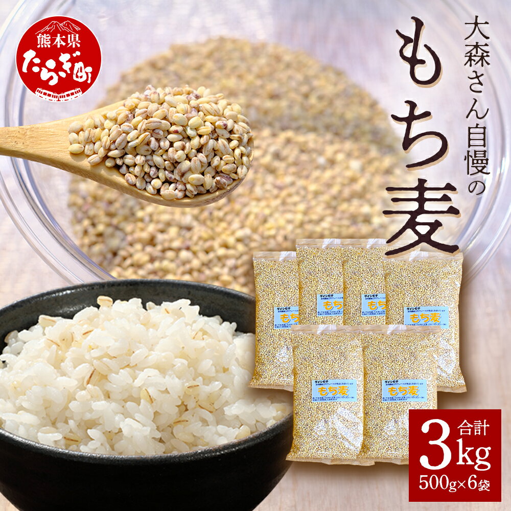 【ふるさと納税】もち麦 合計3kg 500g×6袋 国内産 熊本県産 多良木町産 JAS 無農薬 化学肥料不使用 常温 食物繊維 β-グルカン 健康 ヘルシー 糖尿病予防 ダイエット 眼精疲労 アンチエイジング モチモチ 食感 多良木町産 熊本県 送料無料