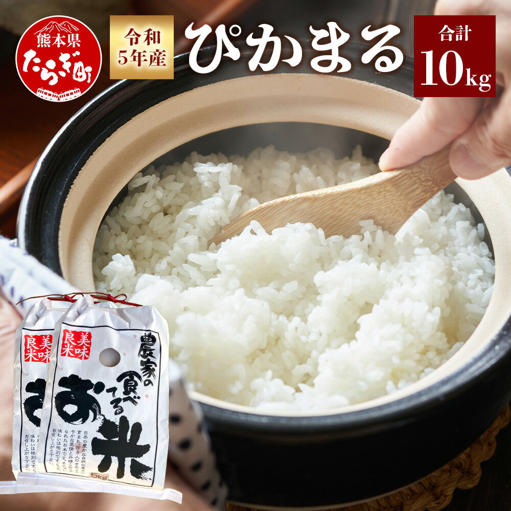 ＜先行予約令和5年産＞ ぴかまる 計10kg （5kg×2袋）【 米 白米 精米 美味しいお米 甘みのあるお米 美味しいお米 お米 】 065-0633-a