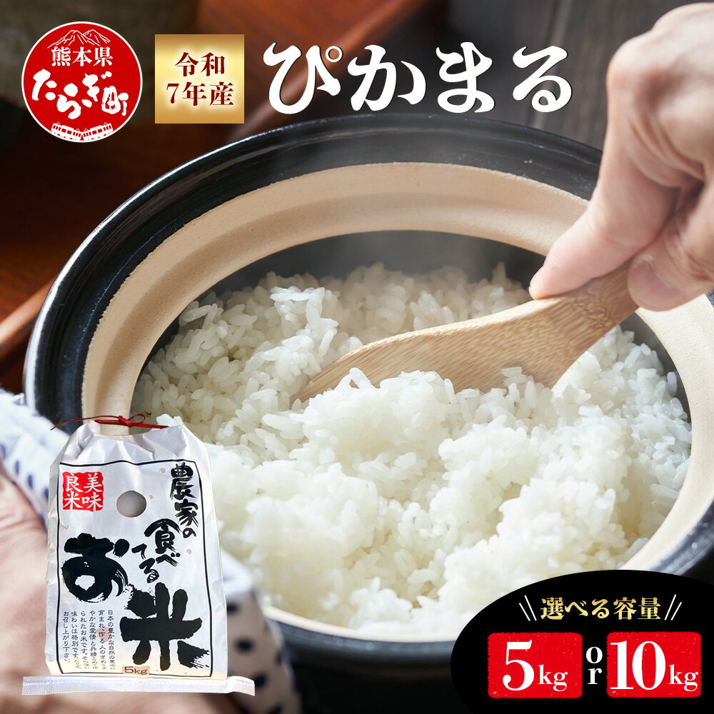 【ふるさと納税】≪R7年産 新米予約 ≫ ぴかまる 5kg / 10kg 選べる 米 新米 熊本県 米どころ 多良木町 農家が食べる お米 ごはん ご飯 農家直...