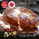 【ふるさと納税】GI認証 くまもと あか牛 ハンバーグ《ご家庭用》150g×10個 牛肉 100% 生 ハンバーグ 冷凍 熊本県産 あかうし はんばーぐ 和風 総菜 惣菜 おかず おうちご飯 家 和牛 牛肉 オオツカ 肉 国産 冷凍 九州産 熊本県 送料無料
