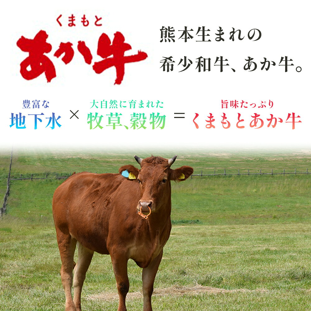 【ふるさと納税】くまもとあか牛 切り落とし 約800g (約400g×2) 希少 あか牛 数量限定 和牛 赤身 牛肉 ヘルシー 赤身肉 切り落し すき焼き スキヤキ 肉 国産 冷凍 九州産 熊本県 多良木町 送料無料 f435058-taragi-10000887 熊本県多良木町 サンプル画像2