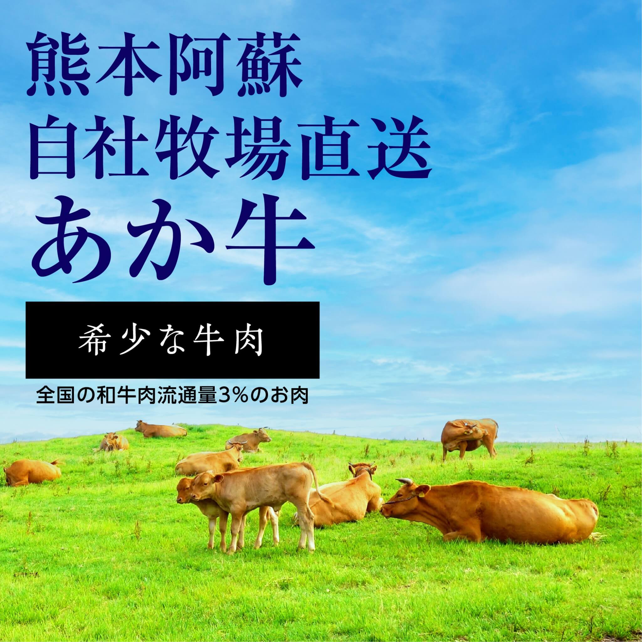 【ふるさと納税】あか牛 もつ鍋 セット 2〜3人前 ホルモン 500g 鍋スープ付き 鍋 牛肉 肉 お肉 あか牛 赤牛 ミックス 小腸 大腸 センマイ アカセンマイ 熊本県産 国産 九州産 冷凍 阿蘇牧場 送料無料