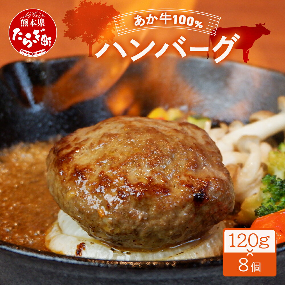 熊本県産 あか牛 100% ハンバーグ 120g×8個[ 冷凍 牛肉 赤牛 肉 熊本産 国産 和牛 ハンバーグ 熊本 惣菜 お弁当 個包装 小分け ビーフハンバーグ]046-0636