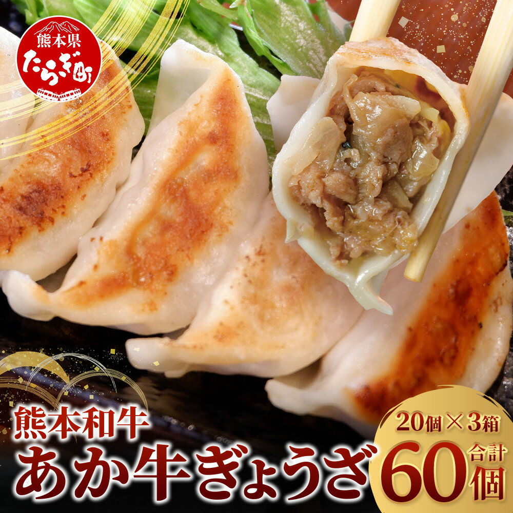 【ふるさと納税】餃子 熊本和牛 あか牛 ぎょうざ 60個 ≪ 熊本 あか牛 餃子 20個入り×3箱 ≫ 熊本県 和牛 あか牛 冷凍 生餃子 ぎょうざ おかず 総...