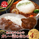【ふるさと納税】あか牛カレー 詰め合わせ あか牛カレー180g×2・あか牛100%挽肉カレー220g×2 046-0625 国産 熊本県産 送料無料