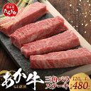 【ふるさと納税】≪GI認証≫ くまもと あか牛 三角 バラ ステーキ 120g×4枚【合計 480g】熊本県産 ブランド あか牛 希少 牛肉 レア ステーキ 芯...