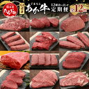 【ふるさと納税】GI認証 くまもとあか牛 12種 食べ比べ【ご褒美 定期便】ステーキ シャトーブリアン サーロイン ランプ ミスジ リブ ロース 12回配送 ス...
