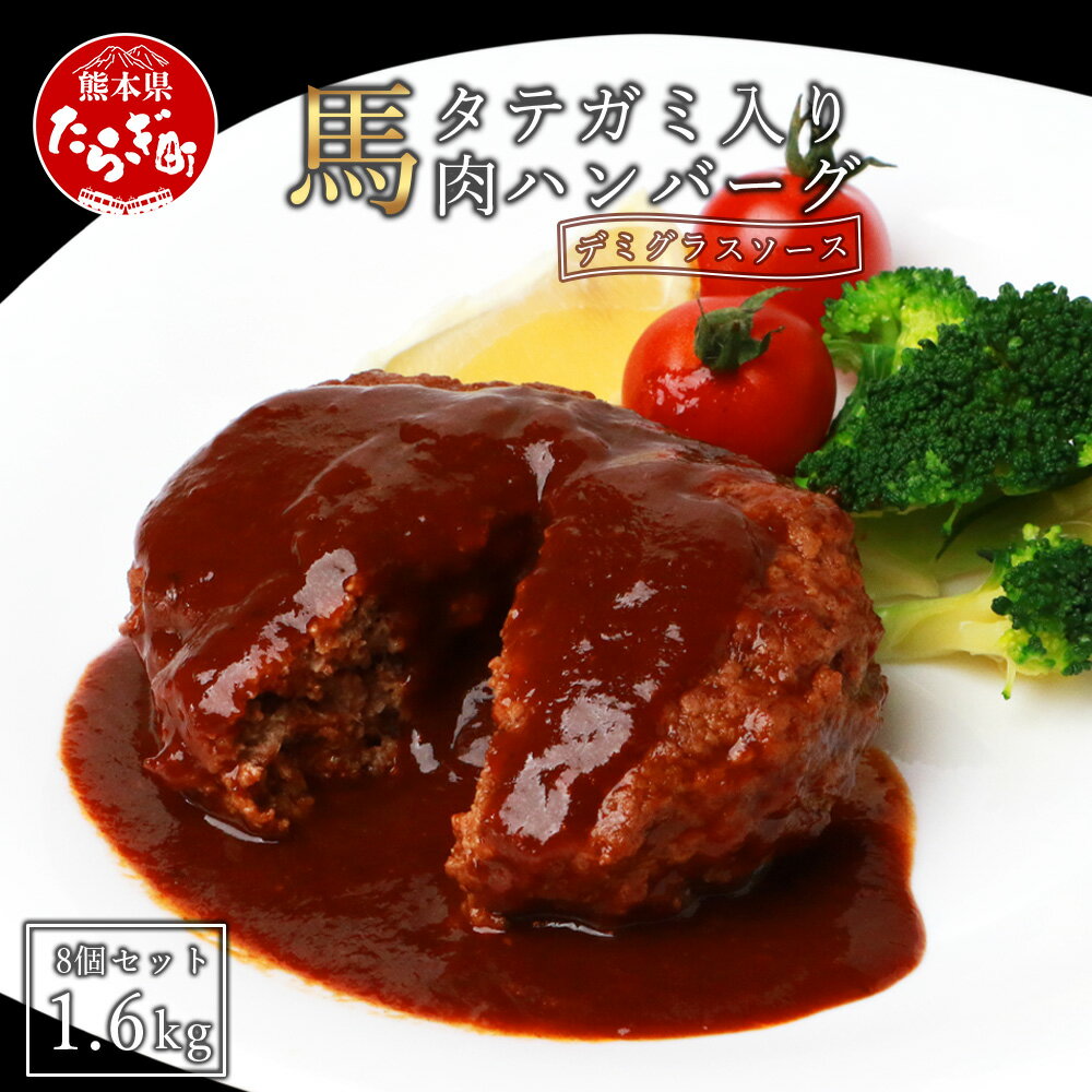 タテガミ入り馬肉ハンバーグ 8個セット 合計約1.6kg 200g×8個 デミグラスソース ハンバーグ 千興 ファーム 馬肉 タテガミ コウネ お肉 肉 惣菜 おかず 贅沢 簡単 お手軽 グルメ 真空パック 冷凍 熊本県 多良木町 送料無料