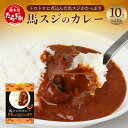 【ふるさと納税】馬スジのカレー 10食セット 合計2.1kg 210g 10個 カレー レトルト カレーライス シェフ監修 惣菜 馬すじ スジ 馬スジ 馬肉 お手軽 グルメ 保存食 非常食 長期保存 熊本県 多良…