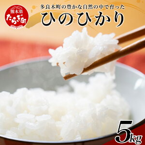 【ふるさと納税】ヒノヒカリ5kg 米 お米 令和4年産 精米 熊本県 多良木町 送料無料