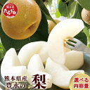 【ふるさと納税】梨 約3kg～約5kg 幸水 新高 新興 豊