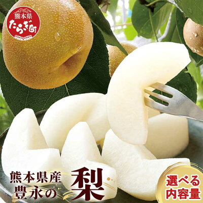 楽天ふるさと納税　【ふるさと納税】梨 約3kg～約5kg 幸水 新高 新興 豊水 秋月 秋麗 旬 果物 フルーツ 甘い 大きい ジューシー みずみずしい ふるさと納税 梨 なし ナシ 生産者支援 応援 期間限定 九州 熊本県 多良木町 送料無料 名産地 多良木 梨 7月下旬～10月上旬順次発送